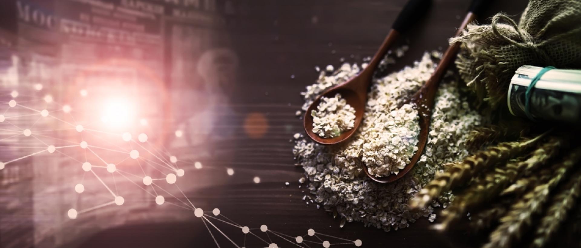 The State Of Global Hunger: Understanding The Crisis