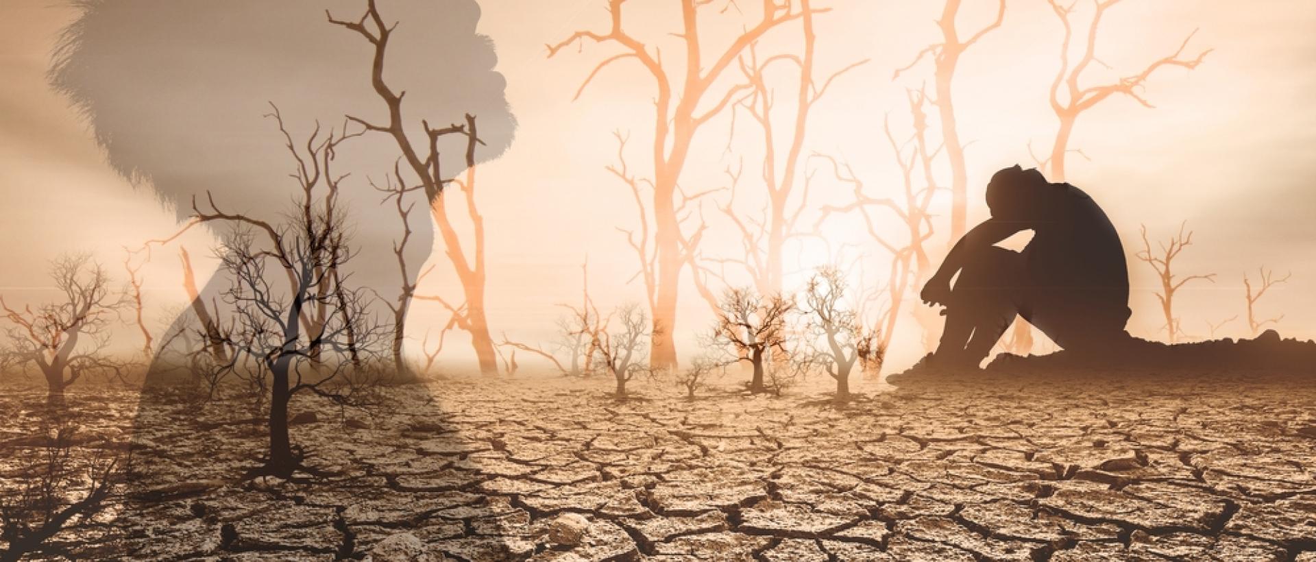 The Impact Of Climate Change On Global Hunger